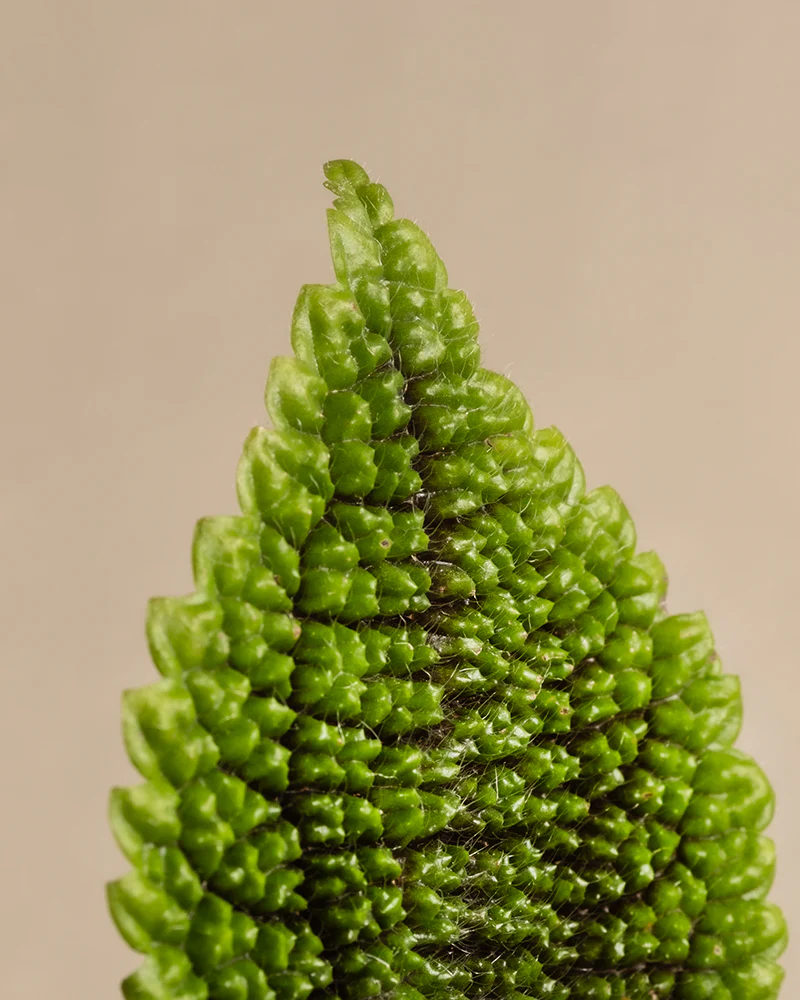 Produktbild 8