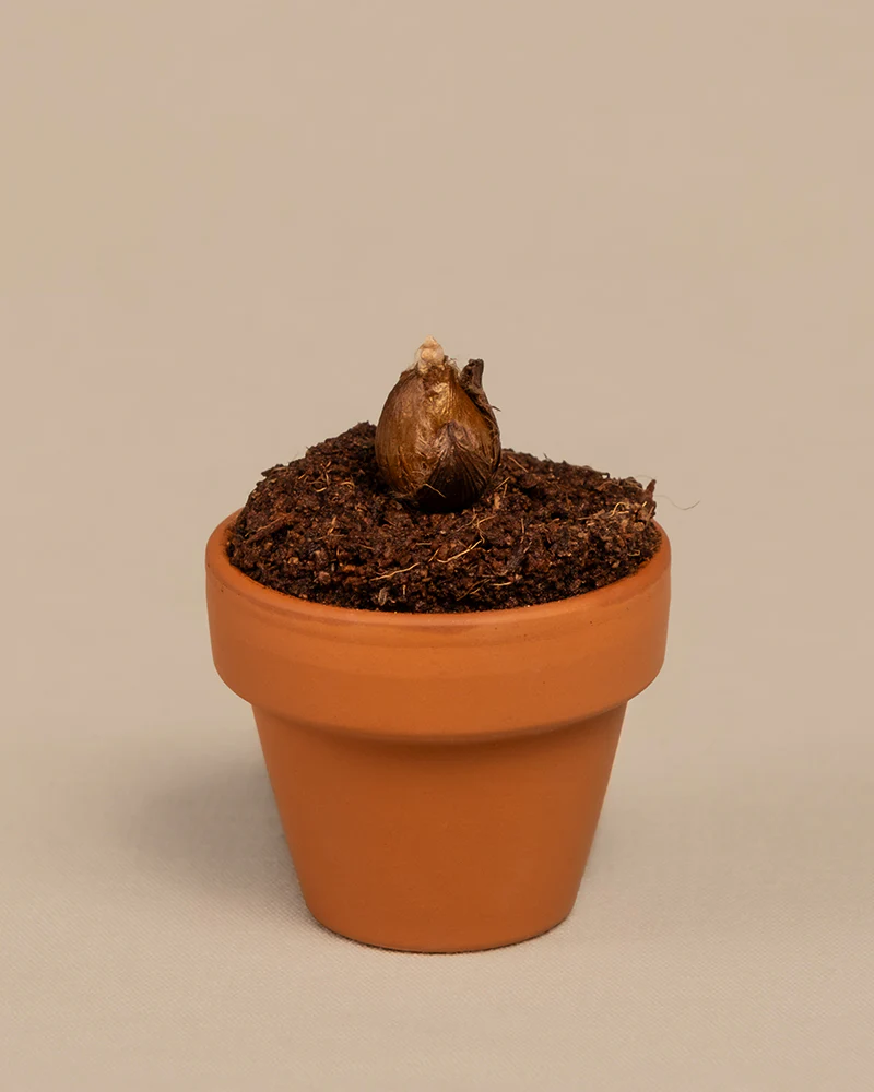 Produktbild 6