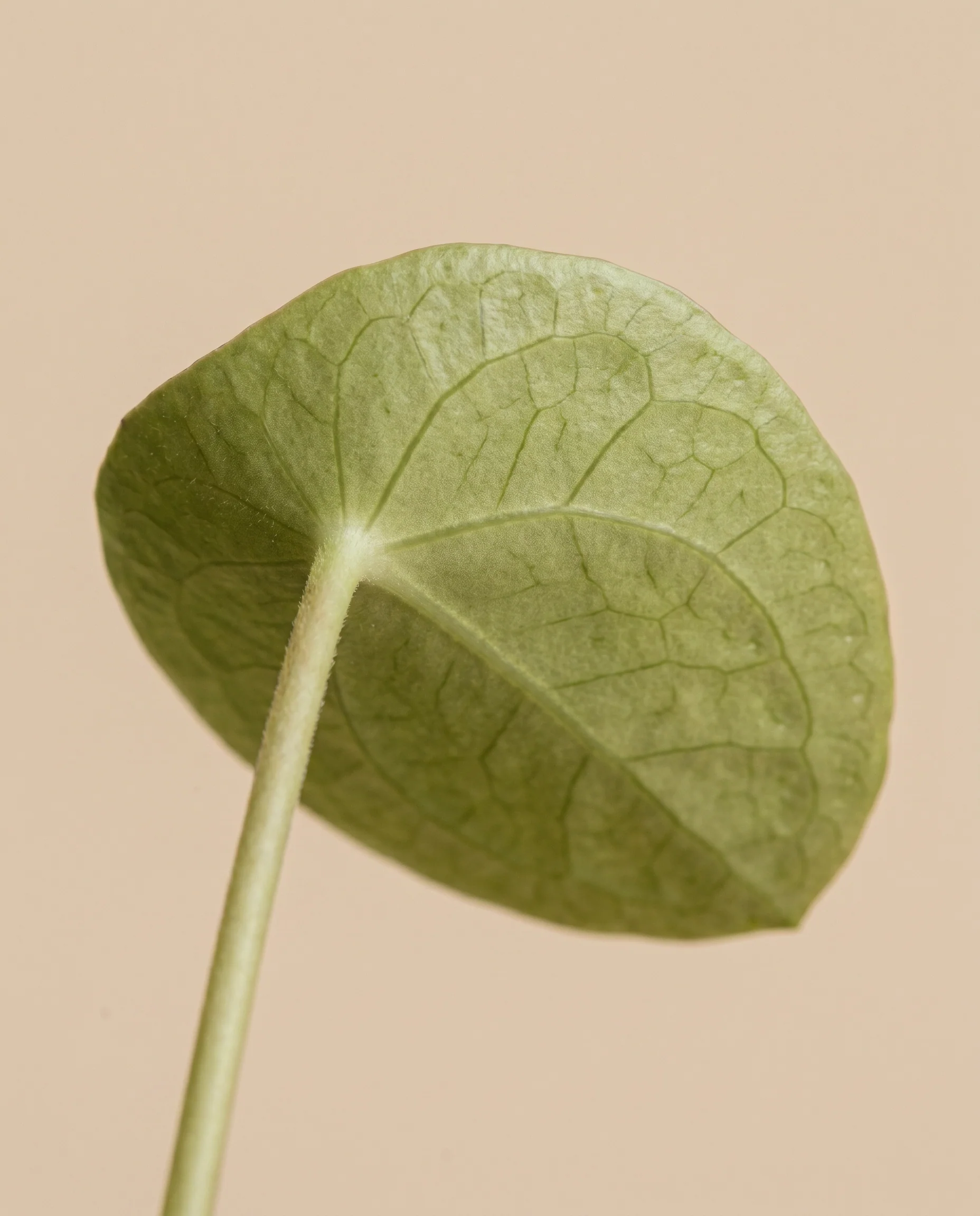 Produktbild 11