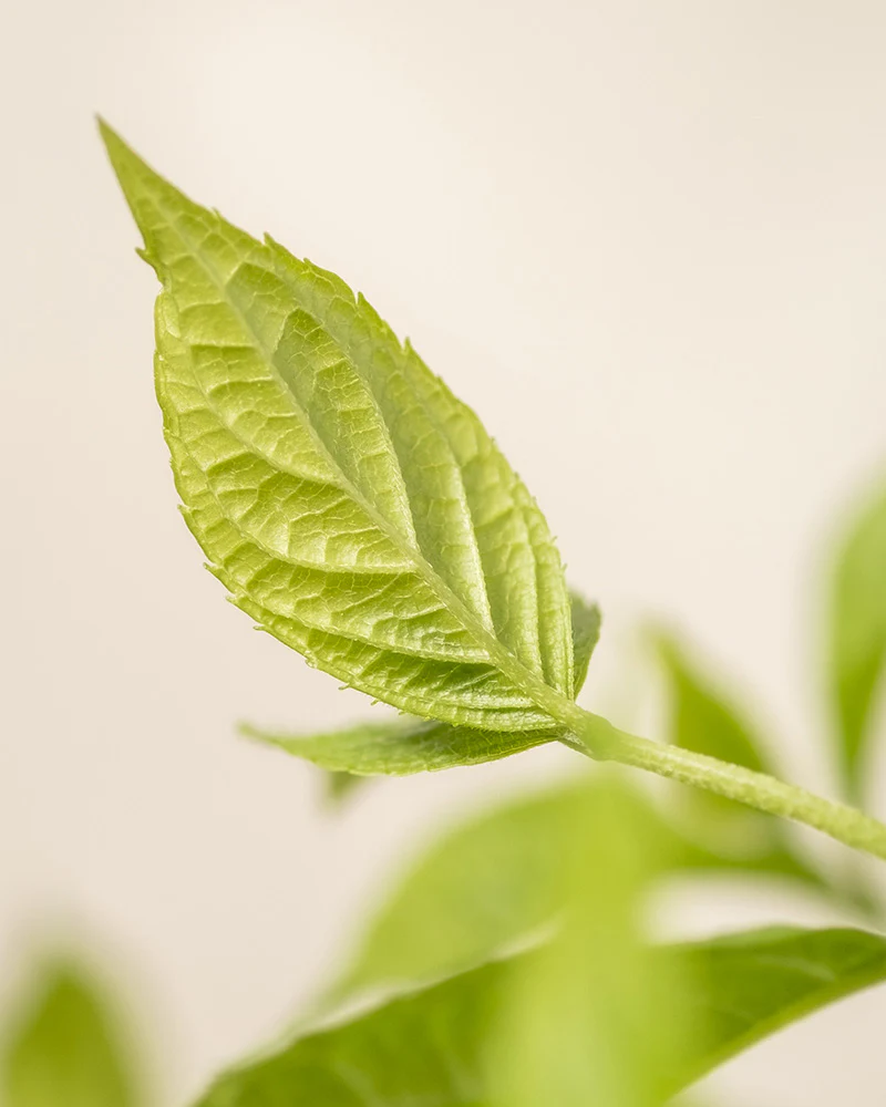 Produktbild 8